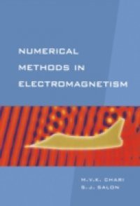 Numerical Methods in Electromagnetism