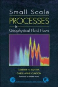 Small Scale Processes in Geophysical Fluid Flows