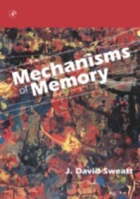 Mechanisms of Memory