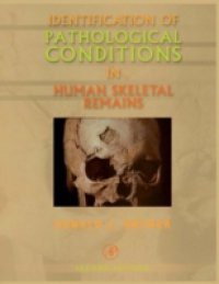 Identification of Pathological Conditions in Human Skeletal Remains