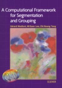 Computational Framework for Segmentation and Grouping