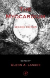 Myocardium