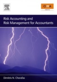 Risk Accounting and Risk Management for Accountants