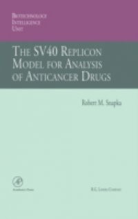 SV40 Replicon Model for Analysis of Anticancer Drugs