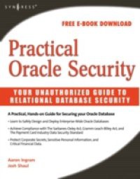 Practical Oracle Security