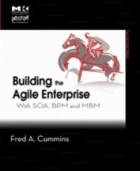 Building the Agile Enterprise