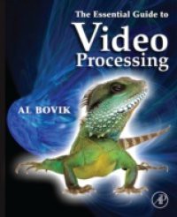 Essential Guide to Video Processing