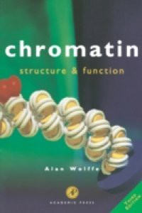 Chromatin