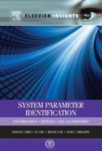 System Parameter Identification