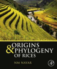 Origins & Phylogeny of Rices