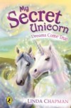 My Secret Unicorn: Dreams Come True