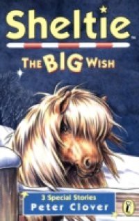 Sheltie: The Big Wish