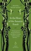 In the Heart of the Amazon Forest