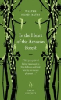In the Heart of the Amazon Forest