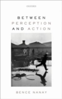 Between Perception and Action