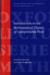 Introduction to the Mathematical Theory of Compressible Flow