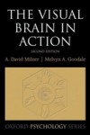 Visual Brain in Action