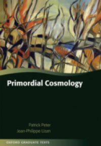 Primordial Cosmology