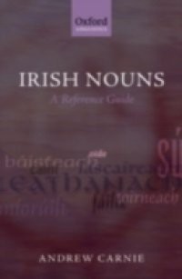 Irish Nouns: A Reference Guide