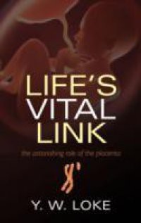 Life's Vital Link: The astonishing role of the placenta