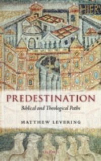 Predestination: Biblical and Theological Paths