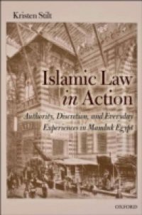 Islamic Law in Action: Authority, Discretion, and Everyday Experiences in Mamluk Egypt