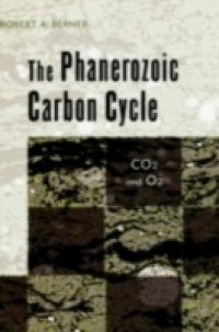 Phanerozoic Carbon Cycle: CO2 and O2