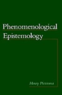 Phenomenological Epistemology