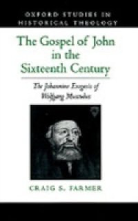 Gospel of John in the Sixteenth Century: The Johannine Exegesis of Wolfgang Musculus