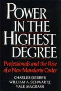 Power in the Highest Degree: Professionals and the Rise of a New Mandarin Order