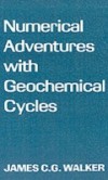 Numerical Adventures with Geochemical Cycles