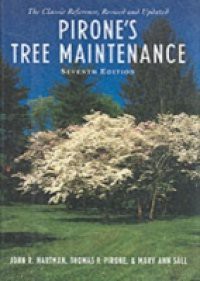 Pirone's Tree Maintenance