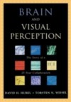 Brain and Visual Perception: The Story of a 25-Year Collaboration