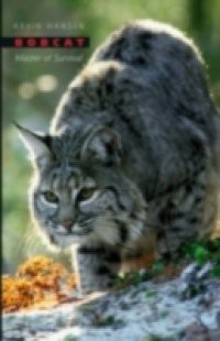 Bobcat: Master of Survival