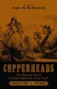 Copperheads: The Rise and Fall of Lincolns Opponents in the North