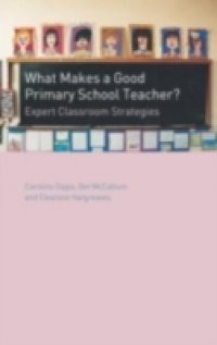 What Makes a Good Primary School Teacher?