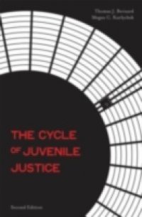 Cycle of Juvenile Justice