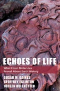 Echoes of Life: What Fossil Molecules Reveal about Earth History