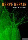 Nerve Repair