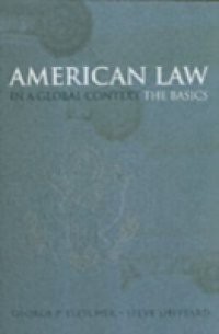 American Law in a Global Context: The Basics