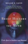 Brief History of the Mind: From Apes to Intellect and Beyond