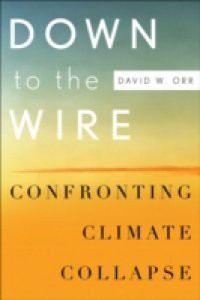 Down to the Wire: Confronting Climate Collapse