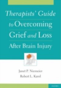 Therapists Guide to Overcoming Grief and Loss After Brain Injury