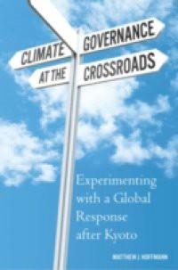 Climate Governance at the Crossroads: Experimenting with a Global Response after Kyoto