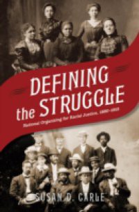 Defining the Struggle: National Organizing for Racial Justice, 1880-1915