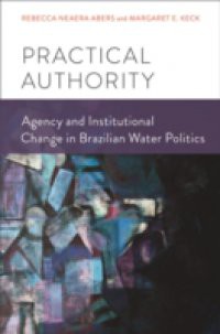 Practical Authority: Agency and Institutional Change in Brazilian Water Politics