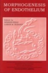 Morphogenesis of Endothelium