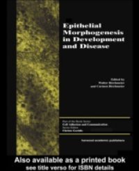 Epithelial Morphogenesis in Development and Disease