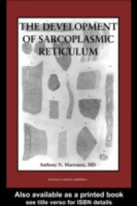Development of the Sarcoplasmic Reticulum