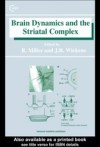 Brain Dynamics and the Striatal Complex